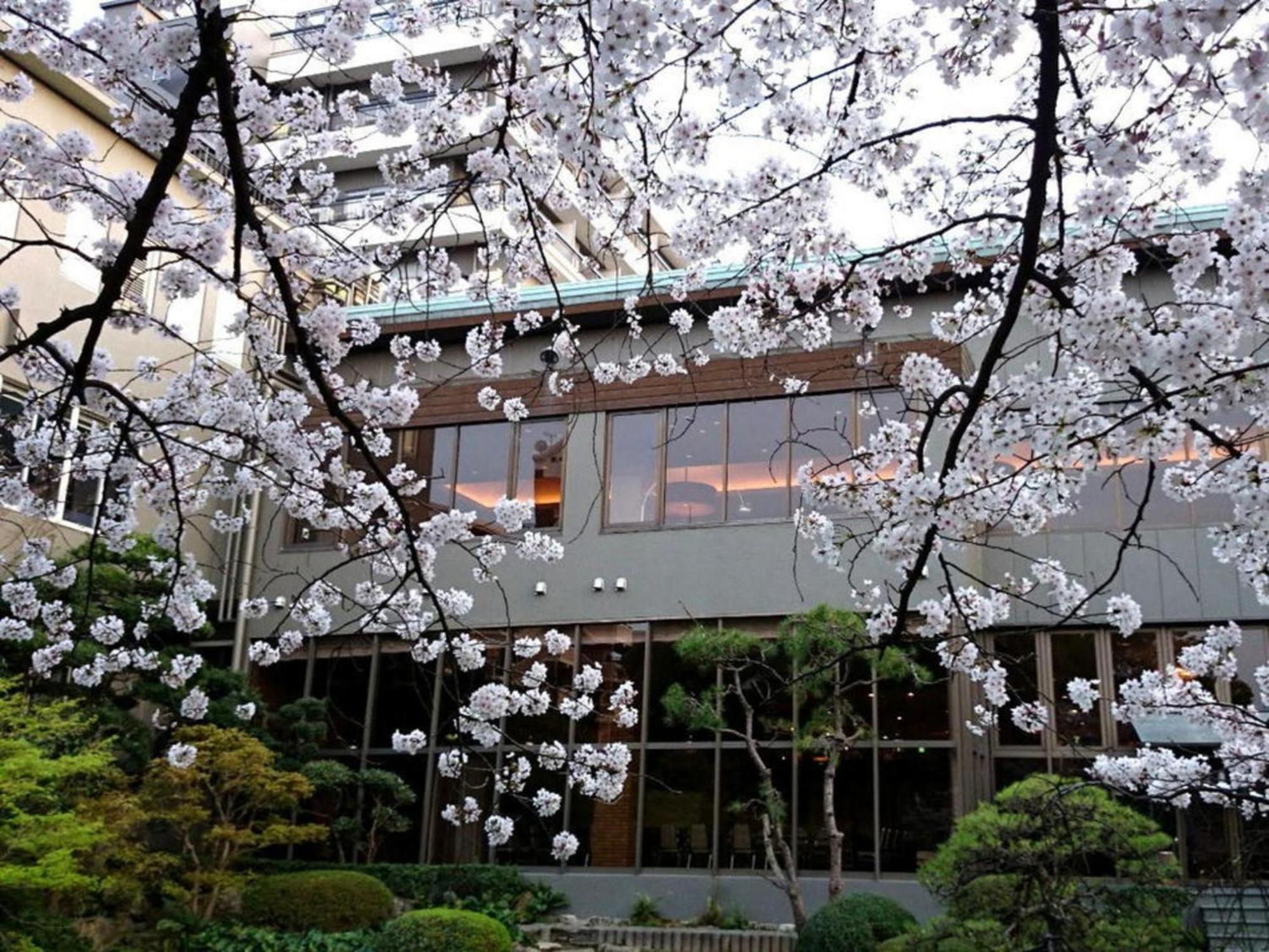 Suikoyen Hotel - Vacation Stay 53819V Kurume Exterior photo